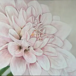 Dahlia